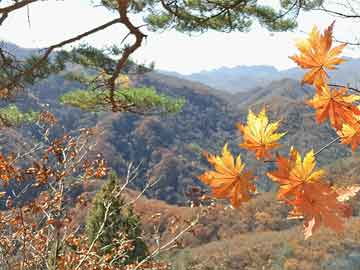 永川海亮广场最新动态揭秘