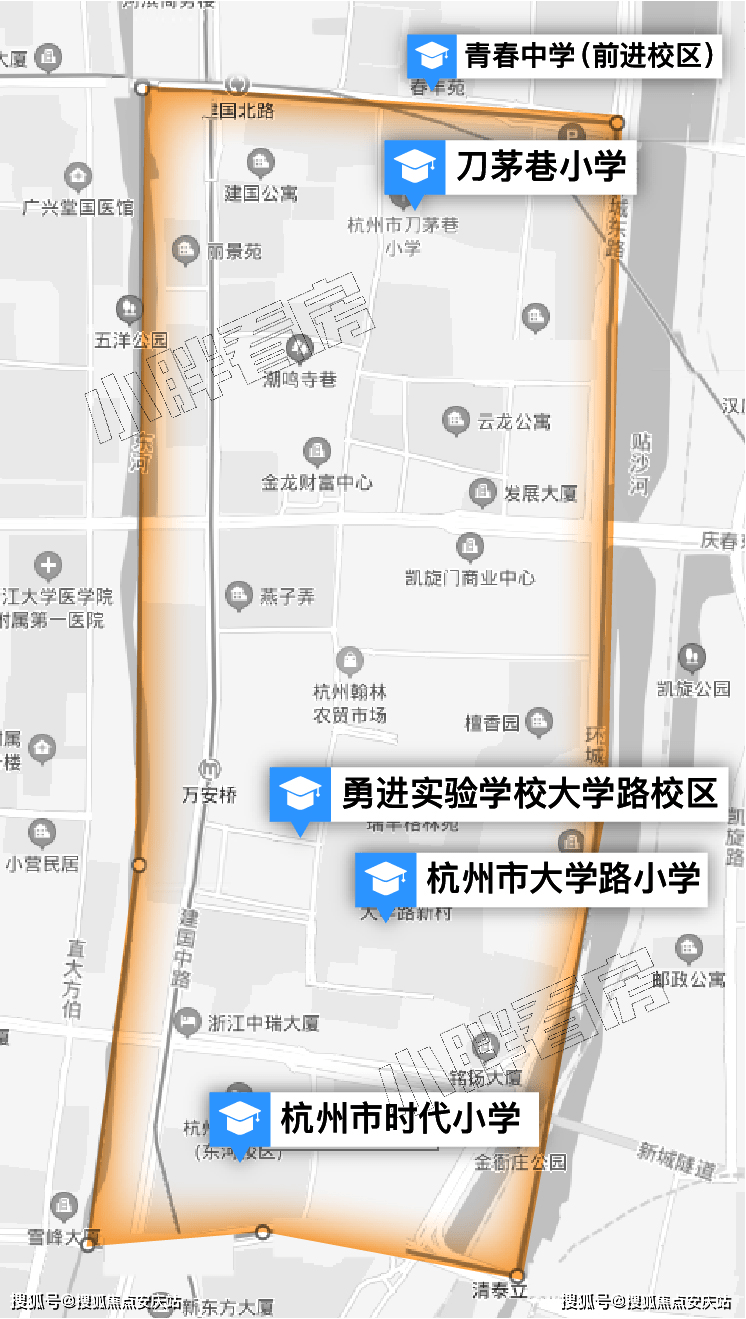 荷兰革新单边游泳裤，引领水上时尚新潮流